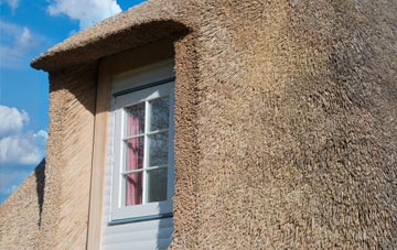 Branxholme thatch roof disadvantages
